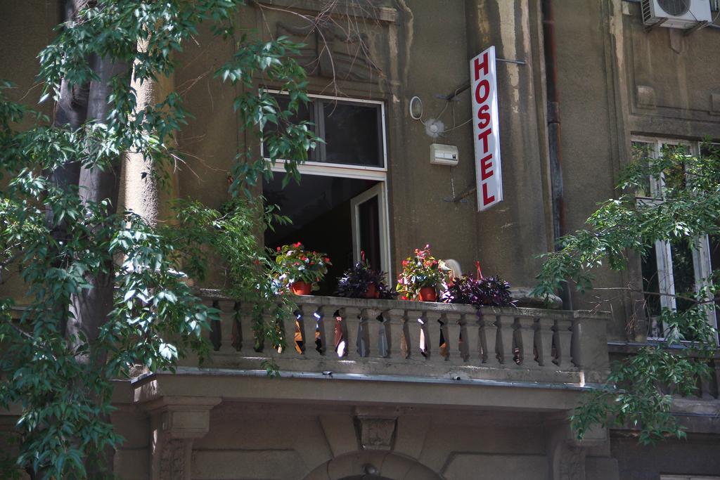 Hostel Sova Novi Sad Buitenkant foto