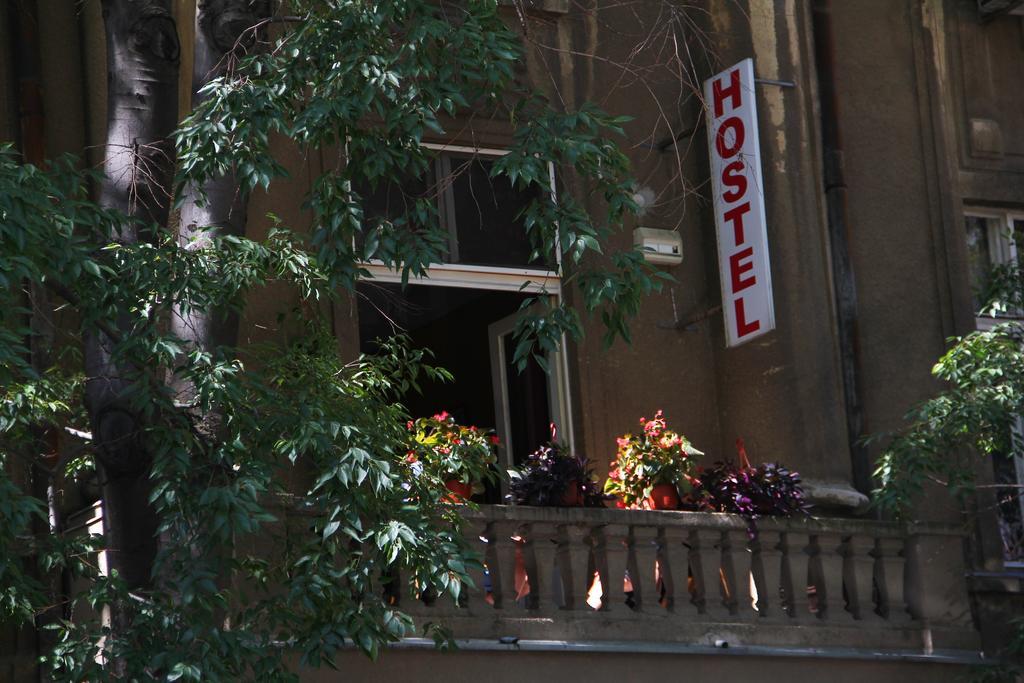 Hostel Sova Novi Sad Buitenkant foto